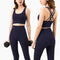 Sportswear Yoga Clothes Set Leggings and Tops Fitness Sports Suits Gym Clothing Bra Pants Sets Running Sport Outfit for Woman